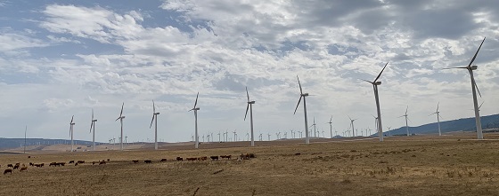 Leonidas will verschiedene Windparks in Frankreich verkaufen